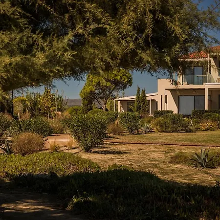 Ammos Suite-grand Blue